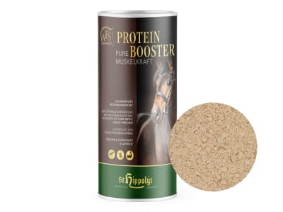 St. Hippolyt WES Protein Booster Proteinkonzentrat ohne Soja 750 g Dose St. Hippolyt WES Protein Booster Proteinkonzentrat ohne Soja 750 g Dose