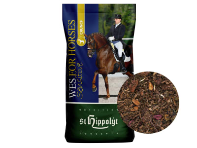 St. Hippolyt WES Sensitive Mash proteinreiches Mash mit Flohsamen 15 kg Sack St. Hippolyt WES Sensitive Mash proteinreiches Mash mit Flohsamen 15 kg Sack