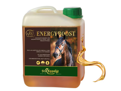 St. Hippolyt WES Energy Boost energiereicher Mix aus Leinöl, Reiskeimöl und Hanföl 5 l Kanister St. Hippolyt WES Energy Boost energiereicher Mix aus Leinöl, Reiskeimöl und Hanföl 5 l Kanister