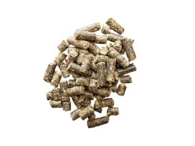 St. Hippolyt Brandon XL leicht verdauliches Kraftfutter ohne Getreidestärke für verdauungs- und stoffwechselsensible Pferde 25 kg Sack St. Hippolyt Brandon XL leicht verdauliches Kraftfutter ohne Getreidestärke für verdauungs- und stoffwechselsensible Pferde 25 kg Sack