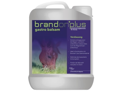 St. Hippolyt Medvetico Brandon plus Gastro Balsam Ölmischung mit Sanddorn 2,5 l Kanister