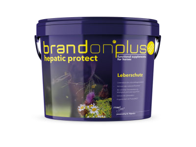 St. Hippolyt Medvetico Brandon plus hepatic protect mit Wirkstoffen für die Leber von Pferden 3 kg Eimer