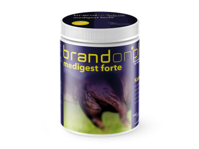 St. Hippolyt Medvetico Brandon plus medigest forte mit Wirkstoffen für die Darmfunktion von Pferden 1 kg Dose St. Hippolyt Medvetico Brandon plus medigest forte mit Wirkstoffen für die Darmfunktion von Pferden 1 kg Dose