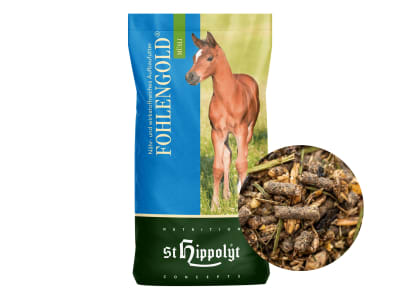 St. Hippolyt Fohlengold Müsli schmackhaftes Aufbaufutter für Fohlen und Jungpferde 20 kg Sack