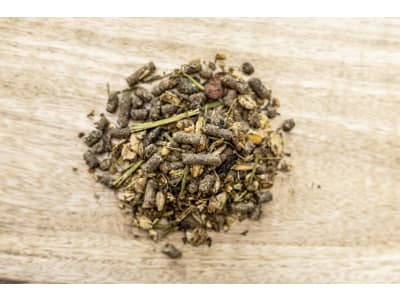 St. Hippolyt Fohlengold Müsli schmackhaftes Aufbaufutter für Fohlen und Jungpferde 20 kg Sack St. Hippolyt Fohlengold Müsli schmackhaftes Aufbaufutter für Fohlen und Jungpferde 20 kg Sack