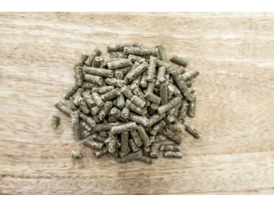St. Hippolyt Fohlengold Classic pelletiertes Aufbaufutter für Fohlen und Jungpferde 25 kg Sack St. Hippolyt Fohlengold Classic pelletiertes Aufbaufutter für Fohlen und Jungpferde 25 kg Sack