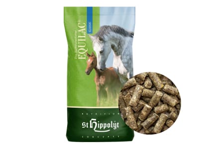 St. Hippolyt Equilac Classic pelletiertes Zuchtstutenfutter bei Trächtigkeit und Laktation 25 kg Sack St. Hippolyt Equilac Classic pelletiertes Zuchtstutenfutter bei Trächtigkeit und Laktation 25 kg Sack