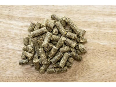 St. Hippolyt Equilac Classic pelletiertes Zuchtstutenfutter bei Trächtigkeit und Laktation 25 kg Sack St. Hippolyt Equilac Classic pelletiertes Zuchtstutenfutter bei Trächtigkeit und Laktation 25 kg Sack