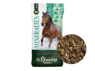 St. Hippolyt SemperMin Müsli getreidefreies und glutenfreies Mineralmüsli für Pferde 15 kg Sack