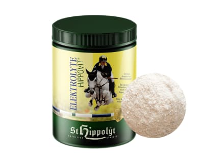 St. Hippolyt Elektrolyte Mineralischer Ausgleich bei starkem Schwitzen 1 kg Dose
