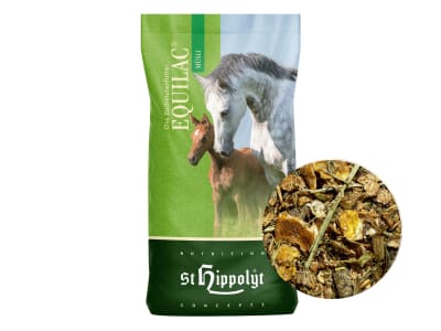 St. Hippolyt Equilac Müsli Zuchtmüsli für Trächtigkeit und Laktation von Zuchtstuten 20 kg Sack St. Hippolyt Equilac Müsli Zuchtmüsli für Trächtigkeit und Laktation von Zuchtstuten 20 kg Sack