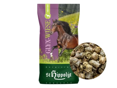 St. Hippolyt Glyx-Wiese Heucobs staubarmer Raufutterersatz für Pferde zum Einweichen 20 kg Sack St. Hippolyt Glyx-Wiese Heucobs staubarmer Raufutterersatz für Pferde zum Einweichen 20 kg Sack
