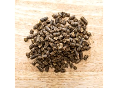 St. Hippolyt SemperMin Classic Pellet das schmackhafte, getreide- & glutenfreie Mineralpellet für Pferde  