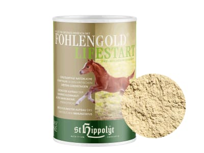 St. Hippolyt Fohlengold Lifestart für Fohlen in den ersten Lebenstagen 100 g Dose St. Hippolyt Fohlengold Lifestart für Fohlen in den ersten Lebenstagen 100 g Dose
