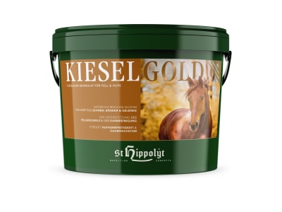 St. Hippolyt Kieselgold mit Silizium und Kurkuma  