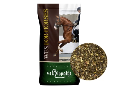 St. Hippolyt WES Gastro Beet magenschonendes Aufbaufutter für Pferde 20 kg Sack St. Hippolyt WES Gastro Beet magenschonendes Aufbaufutter für Pferde 20 kg Sack