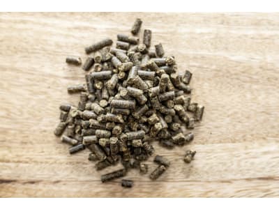 St. Hippolyt Makor mit hochdosiertem Magnesium und Vitamin E St. Hippolyt Makor mit hochdosiertem Magnesium und Vitamin E
