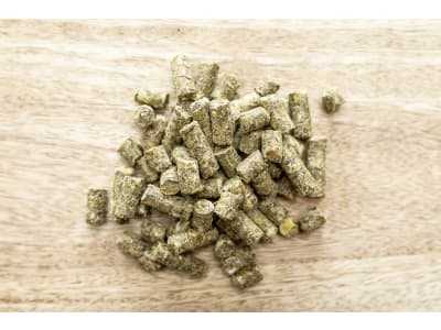 St. Hippolyt Meta-Diät pelletiertes Spezialfutter mit Mariendistel und Artischocke 25 kg Sack St. Hippolyt Meta-Diät pelletiertes Spezialfutter mit Mariendistel und Artischocke 25 kg Sack