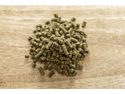 St. Hippolyt Vitamin E + Selen mit Antioxidantien St. Hippolyt Vitamin E + Selen mit Antioxidantien