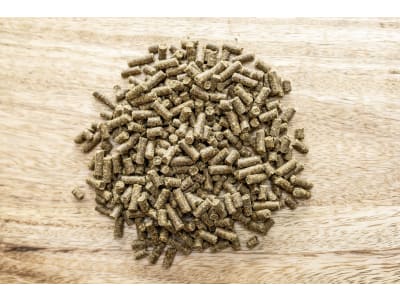 St. Hippolyt Biotin Hoof Mixture mit schwefelhaltigen Aminosäuren  