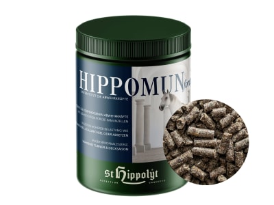 St. Hippolyt Hippomun forte mit Wirkstoffen für das Immunsytem von Pferden 1 kg Dose St. Hippolyt Hippomun forte mit Wirkstoffen für das Immunsytem von Pferden 1 kg Dose