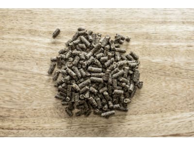 St. Hippolyt Hippomun forte mit Wirkstoffen für das Immunsytem von Pferden 1 kg Dose St. Hippolyt Hippomun forte mit Wirkstoffen für das Immunsytem von Pferden 1 kg Dose
