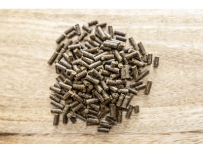 St. Hippolyt Glucogard mit Wirkstoffen für stoffwechselsensible Pferde St. Hippolyt Glucogard mit Wirkstoffen für stoffwechselsensible Pferde