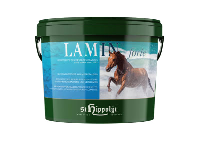 St. Hippolyt Lamin Forte mit Wirkstoffen aus der Meeresalge 10 kg Eimer
