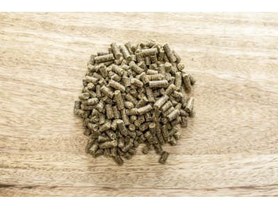 St. Hippolyt Lamin Forte mit Wirkstoffen aus der Meeresalge St. Hippolyt Lamin Forte mit Wirkstoffen aus der Meeresalge