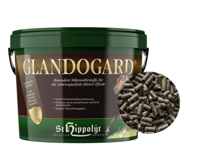 St. Hippolyt Glandogard mit speziellen Mikronährstoffen für ältere Pferde/ Senioren 3,75 kg Eimer St. Hippolyt Glandogard mit speziellen Mikronährstoffen für ältere Pferde/ Senioren 3,75 kg Eimer