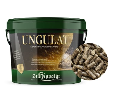St. Hippolyt Ungulat Hufkur mit Wirkstoffen für die Hufe von Pferden St. Hippolyt Ungulat Hufkur mit Wirkstoffen für die Hufe von Pferden