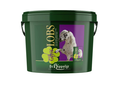 St. Hippolyt Glyx-Lobs getreidefreies Leckerli in Würfelform 10 kg Eimer