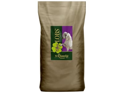 St. Hippolyt Glyx-Lobs getreidefreies Leckerli in Würfelform 25 kg Sack