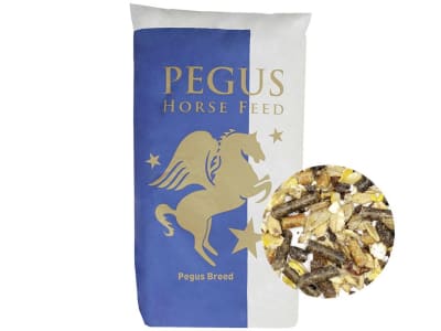Pegus Zucht Müsli energiereiches, voll mineralisiertes Fasermüsli für Zuchtstuten und Fohlen 25 kg Sack Pegus Zucht Müsli energiereiches, voll mineralisiertes Fasermüsli für Zuchtstuten und Fohlen 25 kg Sack
