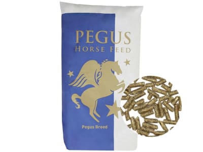 Pegus Zucht Ergänzer Konzentrat zur Ergänzung mit Getreide für Zuchtpferde Zuchtstuten Futter Fohlenfutter 25 kg Sack Pegus Zucht Ergänzer Konzentrat zur Ergänzung mit Getreide für Zuchtpferde Zuchtstuten Futter Fohlenfutter 25 kg Sack