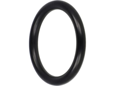 Agrotop O-Ring 31,5 x 4,5 mm, Ventildichtring, für Kolbenmembranpumpen AR 70 bp, AR 115 bp, AR 135 bp, AR 50, AR 1254, 12168