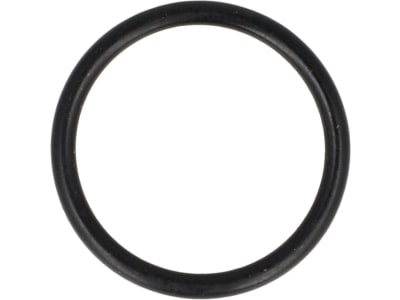 BAUER O-Ring 20 x 2 mm NBR 70 (Nitrilkautschuk), für Turbine TVR 18, 20, 60, TX 20, 60, 100 Regenmaschine Rainstar, 0616783