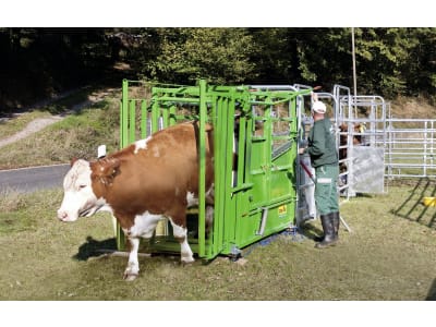 Patura Klauenpflegestand "A 5000" für die Behandlung und Untersuchung von Weiderindern, 302402 Patura Klauenpflegestand "A 5000" für die Behandlung und Untersuchung von Weiderindern, 302402