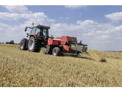 Massey Ferguson Quaderballenpresse "MF 1842 S" Ballen 1,32 x 0,46 x 0,36 m Massey Ferguson Quaderballenpresse "MF 1842 S" Ballen 1,32 x 0,46 x 0,36 m