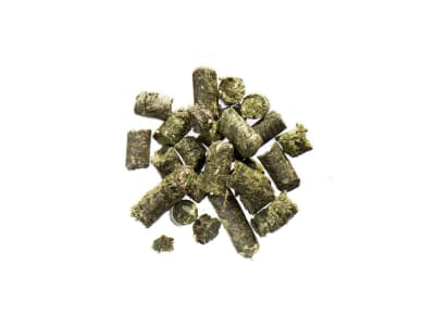 AGROBS Luzernecobs proteinreiche Raufutterergänzung zum Einweichen Pellet 20 kg Sack AGROBS Luzernecobs proteinreiche Raufutterergänzung zum Einweichen Pellet 20 kg Sack