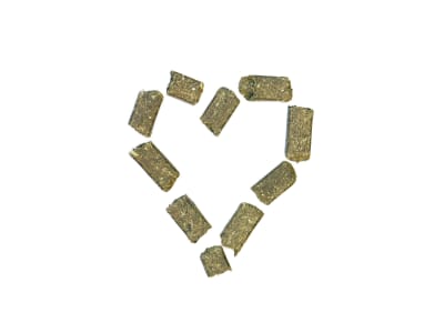 AGROBS WiesenBussi schmackhafte Leckerlis mit Obst und Gemüse als Belohnungsfutter für Pferde und Ponys AGROBS WiesenBussi schmackhafte Leckerlis mit Obst und Gemüse als Belohnungsfutter für Pferde und Ponys