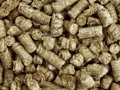 AGROBS Sensitiv Plus eiweiß- und energiearme Heupellets für Schafe und Ziegen Pellet 20 kg Sack AGROBS Sensitiv Plus eiweiß- und energiearme Heupellets für Schafe und Ziegen Pellet 20 kg Sack