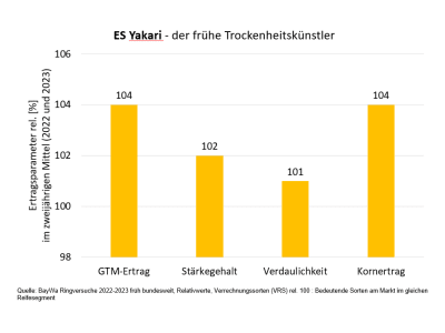 Mais-Saatgut Planterra ES Yakari  EH Redigo M 50000 Körner/EH (ca. S220 ca. K210)