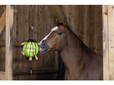 KERBL Therapiespielball für Pferde, grün, 25 cm, 32390