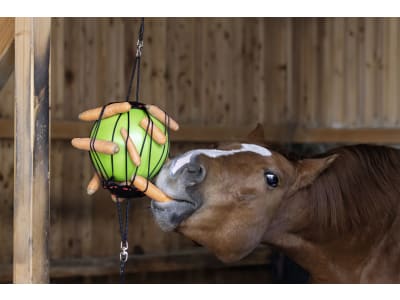 KERBL Therapiespielball für Pferde, grün, 25 cm, 32390