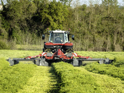 Massey Ferguson Scheibenmähwerk "MF DM" Dreipunktanbau Heck, Mähkombination Massey Ferguson Scheibenmähwerk "MF DM" Dreipunktanbau Heck, Mähkombination