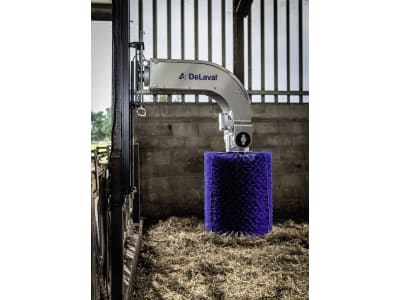 DeLaval Kuhbürste "SBB" 500 x 1.320 x 1.000 mm, Borstenbesatz Nylon, für Rinder mit Hörnern und langem Fell, 64410880 DeLaval Kuhbürste "SBB" 500 x 1.320 x 1.000 mm, Borstenbesatz Nylon, für Rinder mit Hörnern und langem Fell, 64410880