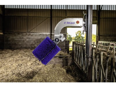 DeLaval Kuhbürste "SBB" 500 x 1.320 x 1.000 mm, Borstenbesatz Nylon, für Rinder mit Hörnern und langem Fell, 64410880 DeLaval Kuhbürste "SBB" 500 x 1.320 x 1.000 mm, Borstenbesatz Nylon, für Rinder mit Hörnern und langem Fell, 64410880