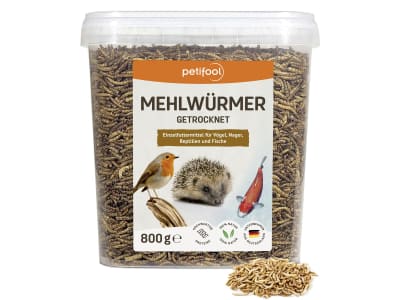 petifool Mehlwürmer Vogelfutter 5 l; 800 g (5l Volumen) Eimer