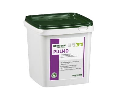  BEWI-SAN Pulmo appetitanregendes Ergängzungsfutter zur Stabilisierung der Wachstumsleistung in der Kälberaufzucht und Ferkelaufzucht Pulver 3 kg Eimer